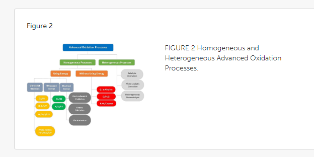 Opera Instantánea_2024-03-21_143605_www.frontiersin.org