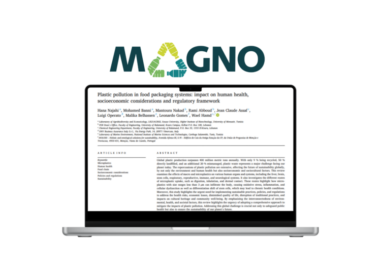 REVIEW: Plastic pollution in food packaging systems